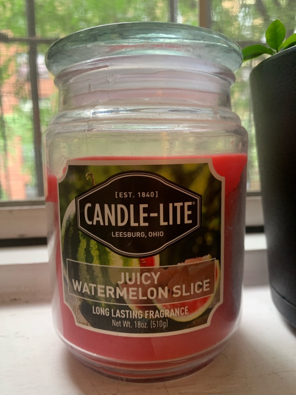 Juicy Watermelon Slice Scented Candle